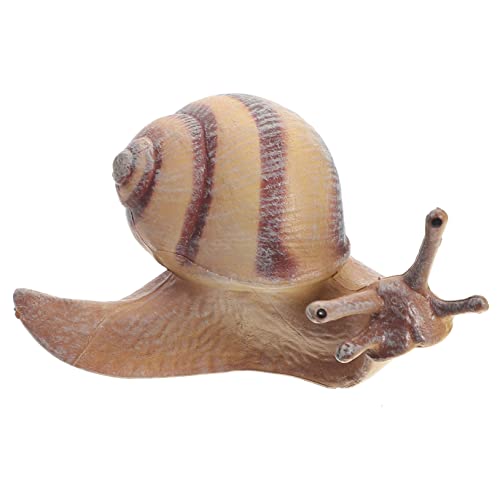 TOBBOMEY Simulationsschnecken Realistische Tierfigur für Garten und Dekoration Lernspielzeug für Bonsai und Miniaturgärten Modell TOBBOMEY Simulationsschnecken Realistische Tierfigur für Garten und Dekoration Lernspielzeug für Bonsai und Miniaturgärten Modell von TOBBOMEY