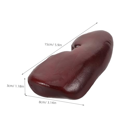 TOBBOMEY Simuliertes Schweinetailenspielzeug Dekor Simulation Gefälschte Niere Tricks Niere Requisite Halloween Requisite Tricks Witze TOBBOMEY Simuliertes Schweinetailenspielzeug Dekor Simulation Gefälschte Niere Tricks Niere Requisite Halloween Requisite Tricks Witze von TOBBOMEY