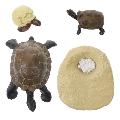 TOBBOMEY Wachstumszyklus Schildkrötenmodell mit Naturgetreuer Figur Pädagogisches Lernspielzeug für Lebenszyklus Erkenntnis und Kreativen Vorstellungskraft TOBBOMEY Wachstumszyklus Schildkrötenmodell mit Naturgetreuer Figur Pädagogisches Lernspielzeug für Lebenszyklus Erkenntnis und Kreativen Vorstellungskraft von TOBBOMEY