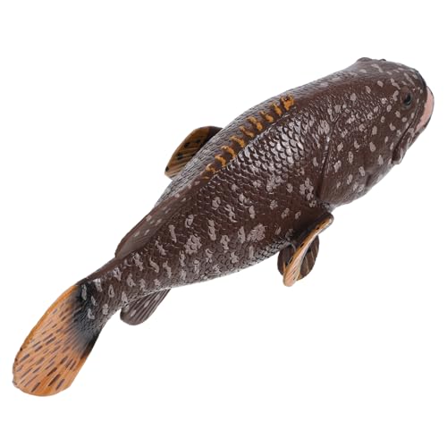 TOBBOMEY Zackenbarschmodell Qualle Meerestierfiguren realistisches Fischspielset Spielzeug Meerestier Modell Simulation Fisch Modell Fisch-Skulptur Simulation Fischmodell Plastik Dark Brown TOBBOMEY Zackenbarschmodell Qualle Meerestierfiguren realistisches Fischspielset Spielzeug Meerestier Modell Simulation Fisch Modell Fisch-Skulptur Simulation Fischmodell Plastik Dark Brown von TOBBOMEY