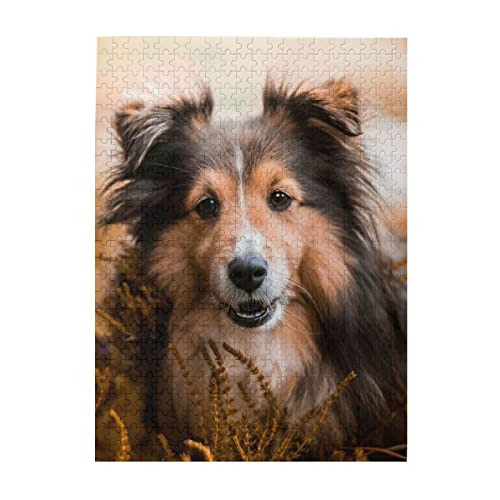 Cute Puppy Dog Puzzle 500 Teile Erwachsene Holzpuzzle Sheltie Hund Jigsaw Puzzle DIY Moderne Wandkunst Bild Moderne Kunst Heimdekoration Kreative Geschenke 15 x 20 Zoll Cute Puppy Dog Puzzle 500 Teile Erwachsene Holzpuzzle Sheltie Hund Jigsaw Puzzle DIY Moderne Wandkunst Bild Moderne Kunst Heimdekoration Kreative Geschenke 15 x 20 Zoll von TOCCH