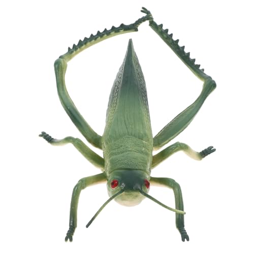 TOGEVAL Realistische Grasfrosch Figur Kunststoff Insektenmodell Pädagogisches für Outdoor Partydeko Miniatur Tierfigur für Junge Mädchen und Jungen TOGEVAL Realistische Grasfrosch Figur Kunststoff Insektenmodell Pädagogisches für Outdoor Partydeko Miniatur Tierfigur für Junge Mädchen und Jungen von TOGEVAL