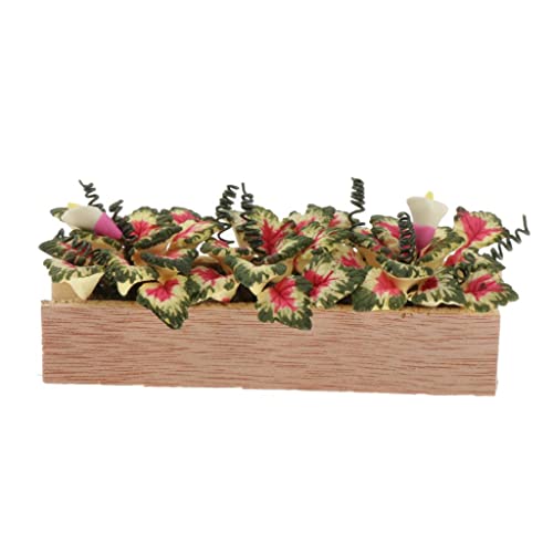 T TOOYFUL Puppenhaus Tonpflanze Im Maßstab 1:12 Mit Hölzernem Topfraum Gartendekor T TOOYFUL Puppenhaus Tonpflanze Im Maßstab 1:12 Mit Hölzernem Topfraum Gartendekor von T TOOYFUL
