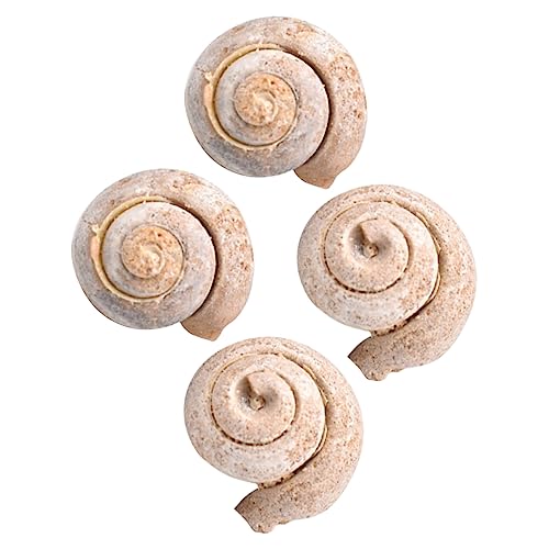 TOPBATHY 1 Satz Fossiles Exemplar Wissenschaft Schüler Unterrichten Schnecke Bildungsspielzeug Simulationsmodell Dekoration Modell Probe 4 Stück TOPBATHY 1 Satz Fossiles Exemplar Wissenschaft Schüler Unterrichten Schnecke Bildungsspielzeug Simulationsmodell Dekoration Modell Probe 4 Stück von TOPBATHY