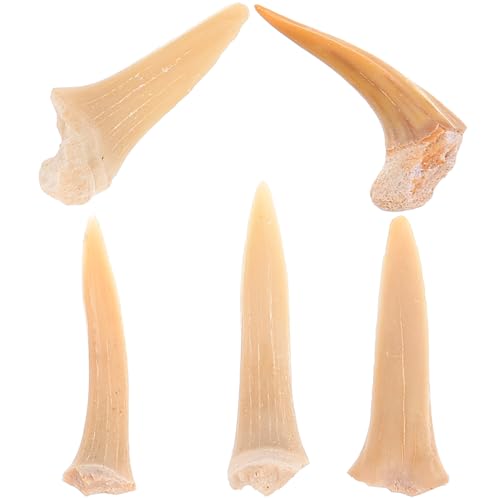 TOPBATHY 1 Satz Fossilienanhänger Haifischzähne Strand Halskette Charme Haie Surfer -halskette Frauen Männer Cooler Kettenanhänger Hai-anhänger Reiz Zahn Halskette Hai-schmuck 5 Stück TOPBATHY 1 Satz Fossilienanhänger Haifischzähne Strand Halskette Charme Haie Surfer -halskette Frauen Männer Cooler Kettenanhänger Hai-anhänger Reiz Zahn Halskette Hai-schmuck 5 Stück von TOPBATHY