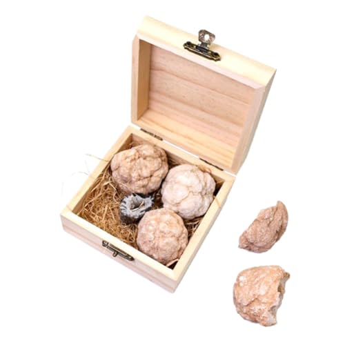 TOPBATHY 1 Schachtel Geologie-kit Bausatz Zum Graben Von Steinen Rock-sammlung Mineralgesteinsset Geoden-kit Edelstein-ausgrabungsset Grabe Edelsteine Kristallachaterz TOPBATHY 1 Schachtel Geologie-kit Bausatz Zum Graben Von Steinen Rock-sammlung Mineralgesteinsset Geoden-kit Edelstein-ausgrabungsset Grabe Edelsteine Kristallachaterz von TOPBATHY