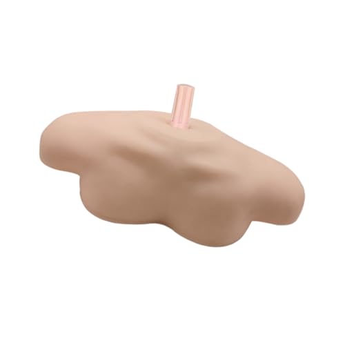 TOPBATHY 1Pc Modell Rack Schulter Stabilisator Brace Mannequin Schultern Schulter Modell Schulter Unterstützung Schulter Brace Kopf Modell Halter Gemeinsame Schulter Modell Schulter Form TOPBATHY 1Pc Modell Rack Schulter Stabilisator Brace Mannequin Schultern Schulter Modell Schulter Unterstützung Schulter Brace Kopf Modell Halter Gemeinsame Schulter Modell Schulter Form von TOPBATHY