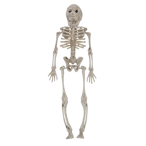 TOPBATHY 1Stück Halloween Skelett Deko Realistisches Skelett Modell Für Gruselige Halloween Partys Dekoration Von Spukhäusern Hochwertiges Langlebiges Material Für Dauerhaften TOPBATHY 1Stück Halloween Skelett Deko Realistisches Skelett Modell Für Gruselige Halloween Partys Dekoration Von Spukhäusern Hochwertiges Langlebiges Material Für Dauerhaften von TOPBATHY