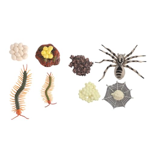 TOPBATHY 2 Sätze Lernmodelle Tierischer Lebenszyklus Tarantula Kognitive Spielzeuge für Naturwissenschaftliche Bildung Sicheres Kunststoffmaterial Fördert Vorstellungskraft TOPBATHY 2 Sätze Lernmodelle Tierischer Lebenszyklus Tarantula Kognitive Spielzeuge für Naturwissenschaftliche Bildung Sicheres Kunststoffmaterial Fördert Vorstellungskraft von TOPBATHY