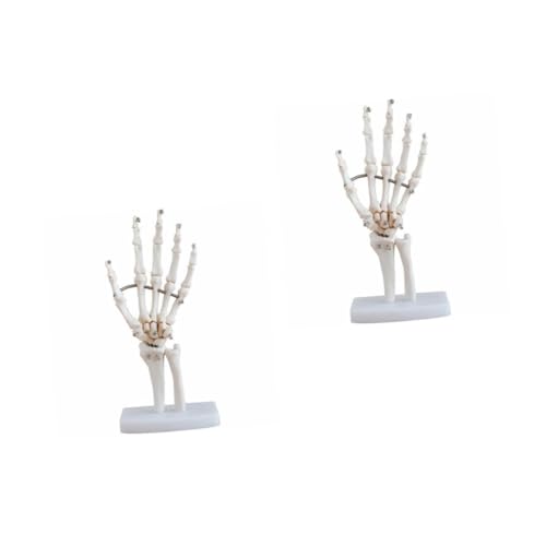 TOPBATHY 2 Stück Handknochenmodell gemeinsames Modell Ausbildungsmodell für Arztpraxen voll Hände werkzeug Skelettmodell der menschlichen Hand Anatomisches Modell des Handskeletts PVC Weiß von TOPBATHY