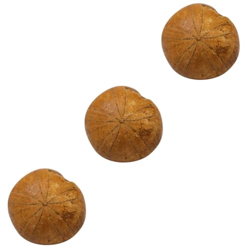 TOPBATHY 3 Stck. Fossiles Exemplar Seeigel- TOPBATHY 3 Stck. Fossiles Exemplar Seeigel- von TOPBATHY