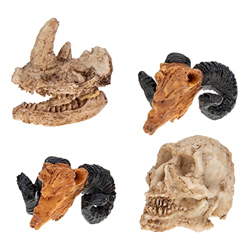 TOPBATHY 4 Stück Microscape-schädel Miniatur Tierischen Schädel Mini-skelettfigur Schaumschädel Mini-Halloween-Skelett Dinosaurier Halloween-schädelköpfe Statue Cool Mann Harz TOPBATHY 4 Stück Microscape-schädel Miniatur Tierischen Schädel Mini-skelettfigur Schaumschädel Mini-Halloween-Skelett Dinosaurier Halloween-schädelköpfe Statue Cool Mann Harz von TOPBATHY