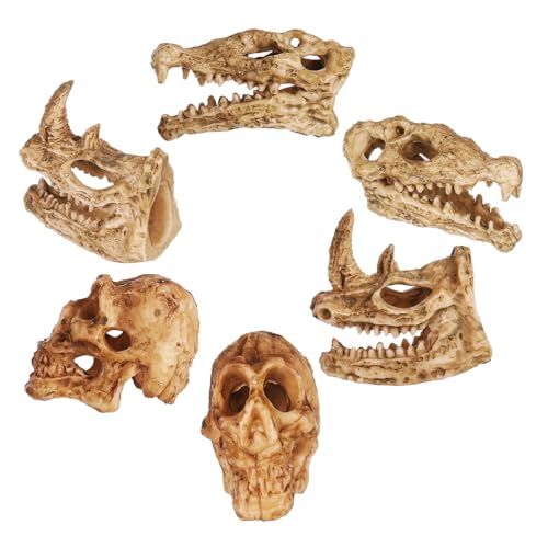 TOPBATHY 6 Stück Tier Schädel Entengrütze Menschlicher Schädel Halloween -Dekorationen Realistischer Zum Basteln Aquarium Dekorpflanzen Für Aquarien Zubehör Für Aquarien Plastik TOPBATHY 6 Stück Tier Schädel Entengrütze Menschlicher Schädel Halloween -Dekorationen Realistischer Zum Basteln Aquarium Dekorpflanzen Für Aquarien Zubehör Für Aquarien Plastik von TOPBATHY