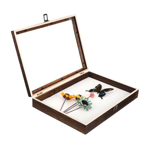 TOPBATHY Box Für Probenausstellungsbox Große Rahmen Museums Probenausstellungsvitrine Sammlungsvitrine Gerahmter Probenausstellungshalter Probenrahmengehäuse Holzvitrine von TOPBATHY