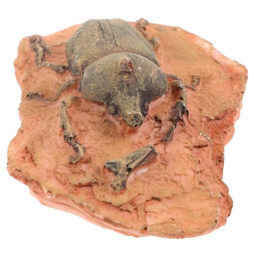 TOPBATHY Fossiliendekoration Entomologie-Kit Insektenexemplar zum Sammeln für Dekoration Insektenprobenverzierung paläontologisches Exemplar Insektenproben aus Harz Insektenproben in Harz TOPBATHY Fossiliendekoration Entomologie-Kit Insektenexemplar zum Sammeln für Dekoration Insektenprobenverzierung paläontologisches Exemplar Insektenproben aus Harz Insektenproben in Harz von TOPBATHY