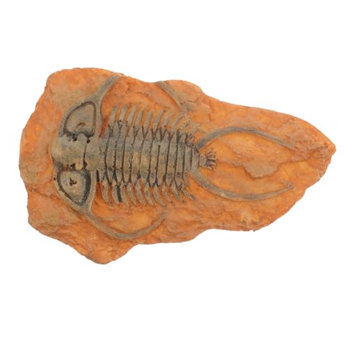 TOPBATHY Fossiliendekoration Insektenproben -Kombination Insektenproben in Harz Insektenverzierung Dekoration mit Insektenexemplaren Insektenproben in der Harzsammlung Harzexemplarkäfer TOPBATHY Fossiliendekoration Insektenproben -Kombination Insektenproben in Harz Insektenverzierung Dekoration mit Insektenexemplaren Insektenproben in der Harzsammlung Harzexemplarkäfer von TOPBATHY