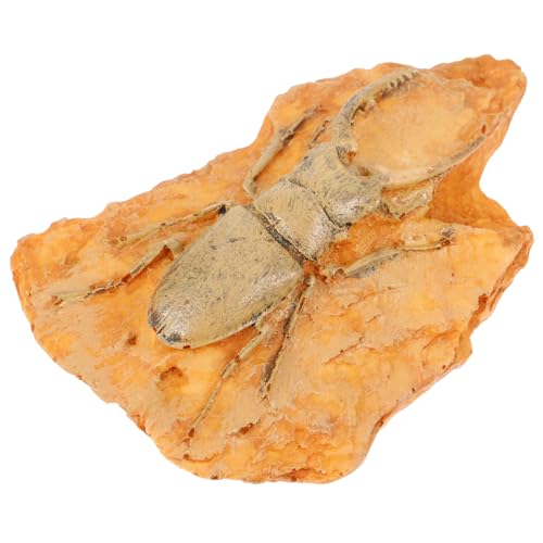 TOPBATHY Fossiliendekoration paläontologisches Exemplar Insektenharz Insektendekoration Insektenproben in der Harzsammlung Harz für Insektenproben Insektenexemplar für den Unterricht TOPBATHY Fossiliendekoration paläontologisches Exemplar Insektenharz Insektendekoration Insektenproben in der Harzsammlung Harz für Insektenproben Insektenexemplar für den Unterricht von TOPBATHY