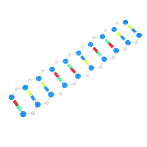 TOPBATHY Pädagogisches DNA-Modell Für Studenten, Doppelhelix-Struktur Für Den Genetikunterricht Und Die Molekularbiologie Im Klassenzimmer Und Labor TOPBATHY Pädagogisches DNA-Modell Für Studenten, Doppelhelix-Struktur Für Den Genetikunterricht Und Die Molekularbiologie Im Klassenzimmer Und Labor von TOPBATHY
