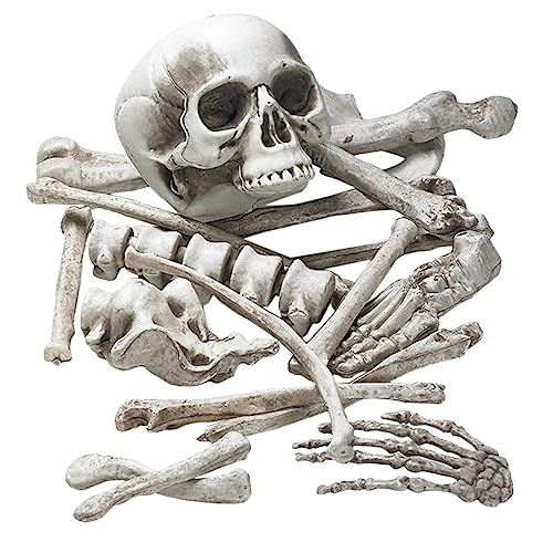 TOPBATHY Realistisches Skelett Halloween Deko Teilig Weiße Knochen für Haunted House Prop Gruselige Partydekoration Bar und Outdoor Nutzung von TOPBATHY