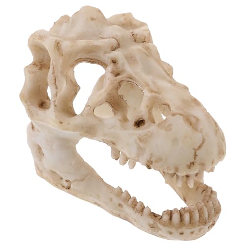 TOPBATHY Resin Dinosaurier Schädel Modell Simuliertes Dinosaurier Schädel Ornament Für Dekoration Kleines Design von TOPBATHY