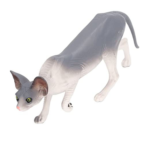 TOPINCN Haarloser Katzenmodell Spielzeug Lebensee Simulationsfiguren für Kinderdekorationen Zuhause, Bildungskatze Statue für Büro, Plastik Bunte Katzenfigur für Schlafzimmerschule (PL127 1840) von TOPINCN