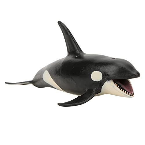TOPINCN Killerwalmodell Exquisite Desktop -Dekoration für Kinderpädagogikspielzeug, Geeignet für Office Desk Home Decor Plastik 19 X 10 X 7,5 cm TOPINCN Killerwalmodell Exquisite Desktop -Dekoration für Kinderpädagogikspielzeug, Geeignet für Office Desk Home Decor Plastik 19 X 10 X 7,5 cm von TOPINCN