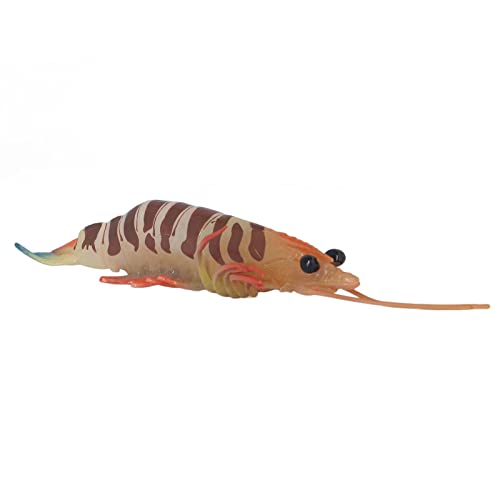 TOPINCN Marine Marine Animal Model Vivid Simulation Toys für, Sea Animal Figure Early Learning Model für die Heimdekoration TOPINCN Marine Marine Animal Model Vivid Simulation Toys für, Sea Animal Figure Early Learning Model für die Heimdekoration von TOPINCN