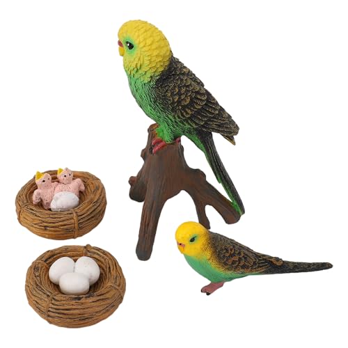 TOPINCN Realistisches Papageien -Wachstumszyklus -Figur Bildungsspielzeug für, 4 PCs Simulierte Vogeltiere Modell für die Dekoration des Home Klassenzimmers TOPINCN Realistisches Papageien -Wachstumszyklus -Figur Bildungsspielzeug für, 4 PCs Simulierte Vogeltiere Modell für die Dekoration des Home Klassenzimmers von TOPINCN