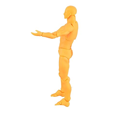 TOPINCN Zeichnungsfigur Modell Actionfigur Körperzeichnungen Schaufensterpuppen Zeichnung Puppenmodell Anpassbare Posen mit Halter für Malereifotografie -Requisiten (Mann) von TOPINCN