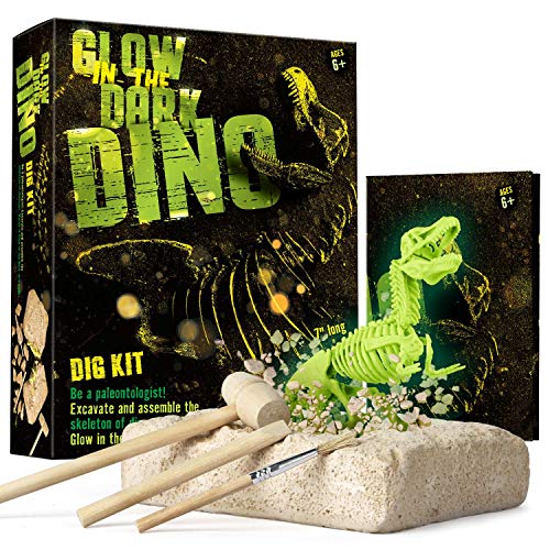 Dr. Daz Nachtleuchtender Dinosaurier Skelett Ausgrabungsset für Kinder Dino Knochen Ausgrabung Spielzeug Archäologie Paläontologie Geschenk von Dr. Daz
