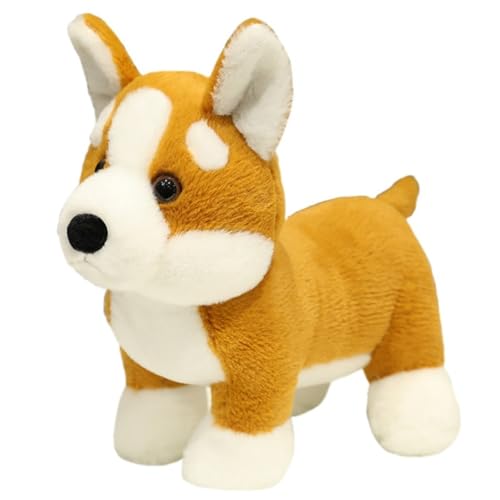 TOPLITHE Corgi Hund Plüsch, Flauschige Plüschtier weich Welpe Adorable Plüsch Kuschelige Kissen Spielzeug for Kinder Jungen Mädchen Geschenk von TOPLITHE