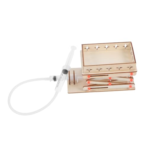 TOPPERFUN 1 Satz DIY Hydraulische Hebebühne für Experimentierset aus Holz für und Lernspielzeug für Schule und Zuhause TOPPERFUN 1 Satz DIY Hydraulische Hebebühne für Experimentierset aus Holz für und Lernspielzeug für Schule und Zuhause von TOPPERFUN