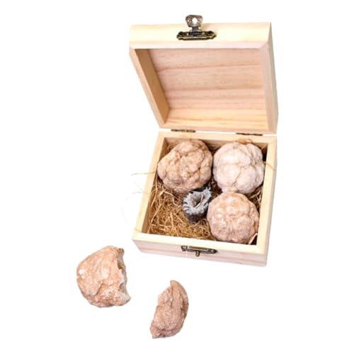 TOPPERFUN 1 Schachtel Höhlencluster-kristallkugel Bausatz Zum Graben Von Steinen Edelstein-ausgrabungsset Geoden-kit Rock-sammlung Mineralgesteinsset Graben Rock-kit Kristallachaterz TOPPERFUN 1 Schachtel Höhlencluster-kristallkugel Bausatz Zum Graben Von Steinen Edelstein-ausgrabungsset Geoden-kit Rock-sammlung Mineralgesteinsset Graben Rock-kit Kristallachaterz von TOPPERFUN
