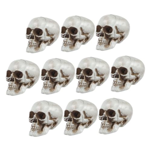 TOPPERFUN 10stücke Teiliges Halloween Schädel Deko Kopf Für Gruselige Partys Und Dekorationen Für Halloween Und Garten Hochwertige Verarbeitung TOPPERFUN 10stücke Teiliges Halloween Schädel Deko Kopf Für Gruselige Partys Und Dekorationen Für Halloween Und Garten Hochwertige Verarbeitung von TOPPERFUN
