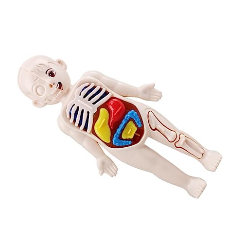 TOPPERFUN 1Satz Modell Körperorgane Puzzle Für Pädagogisches Lernwerkzeug Für Frühe Entwicklung Human Viscera Kognitive Spielzeuge Teiliges von TOPPERFUN