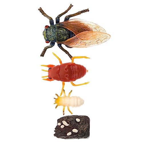 TOPPERFUN 1Satz Simulation Zikadenwachstumsmodell Pädagogisches Deko für Lebenszyklus Ornamenten für Heimdekoration und Unterrichtszwecke TOPPERFUN 1Satz Simulation Zikadenwachstumsmodell Pädagogisches Deko für Lebenszyklus Ornamenten für Heimdekoration und Unterrichtszwecke von TOPPERFUN