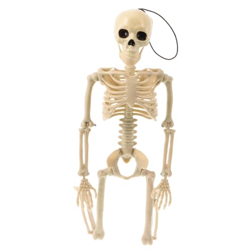TOPPERFUN 1Stück Chic Skelett Modell Für Halloween Dekoration Lustiges Skelett Als Gruselige Requisite Für Partys Spukhäuser Weiß Für Kreative Halloween Layouts TOPPERFUN 1Stück Chic Skelett Modell Für Halloween Dekoration Lustiges Skelett Als Gruselige Requisite Für Partys Spukhäuser Weiß Für Kreative Halloween Layouts von TOPPERFUN