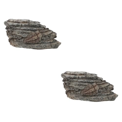 TOPPERFUN 2St fossiles Exemplar Reptil mit Haube Schildkröte Treibholz für Aquarien im Freien sammeltassen paläontologisches Trilobitendekor Trilobit zur Abholung Trilobit als Exemplar Harz von TOPPERFUN