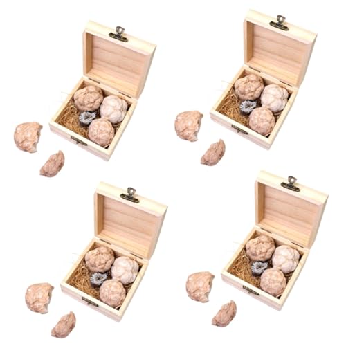 TOPPERFUN 4 Boxen Höhlencluster-kristallkugel Edelstein-ausgrabungsset Rock-sammlung Mineralgesteinsset Bausatz Zum Graben Von Steinen Geoden-kit Graben Rock-kit Kristallachaterz von TOPPERFUN