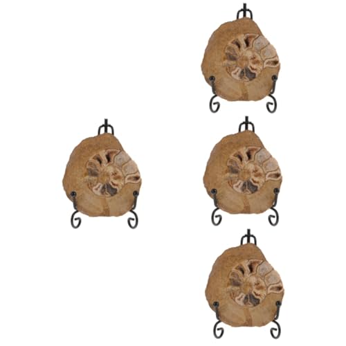 TOPPERFUN 4 Stück Ammonitenfossil Ornament Ammonitenmodelle Zur Dekoration Ammoniten-exemplar Ammonitenmodelle Als Ammonitenmodelle Zur Sammlung Ammonitendekoration Ammoniten- von TOPPERFUN