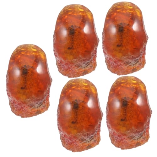 TOPPERFUN 5 Stück Bernstein-Fossilprobe Bernstein-Insektenexemplar Exemplar eines Bernsteinskorpions Bernstein-Insektensammlung Insektenschmuck bernsteinfarbenes Insektenexemplar Harz TOPPERFUN 5 Stück Bernstein-Fossilprobe Bernstein-Insektenexemplar Exemplar eines Bernsteinskorpions Bernstein-Insektensammlung Insektenschmuck bernsteinfarbenes Insektenexemplar Harz von TOPPERFUN