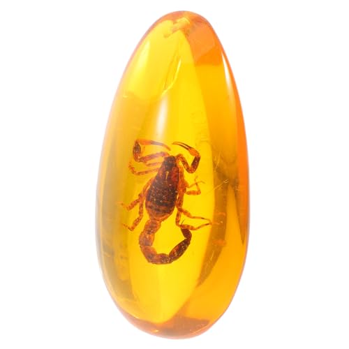 TOPPERFUN Bernsteinfossil Insektensammlung Insektenschmuck Exemplar eines Insektensteins Wohnkultur Insektenverzierung bernsteinfarbenes Insektenexemplar Insektenprobe Bernsteinexemplar Harz von TOPPERFUN