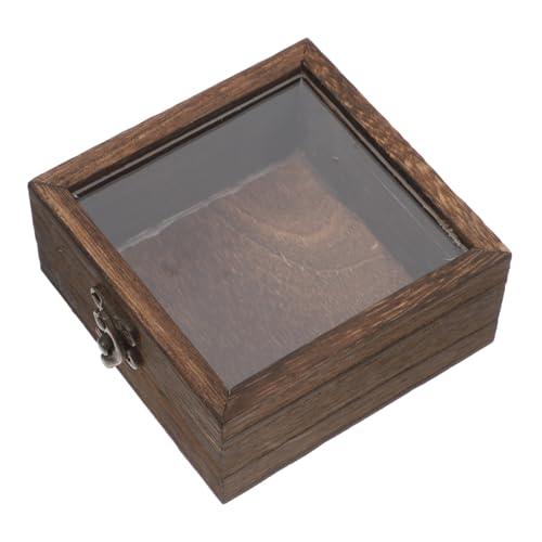 TOPPERFUN Box Insektenprobenbox Echter Schmetterling Gerahmte Vitrine Pinnwand Probenausstellung Gesteinssammlungsausstellung Hellbraunes Holz von TOPPERFUN