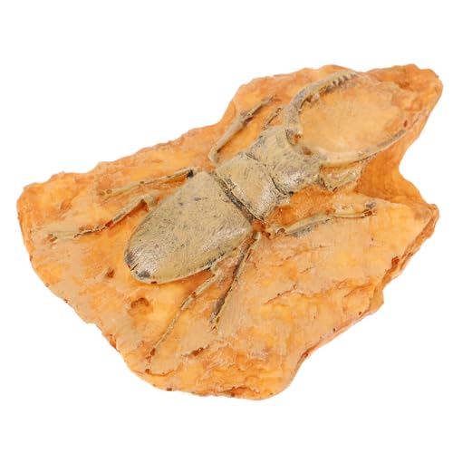 TOPPERFUN Insektenfossilien Insektendekoration Lehrmittel Insekten Wissenschaftliche Fossilien paläontologisches Insektenexemplar Insekt für den naturwissenschaftlichen Unterricht Harz von TOPPERFUN