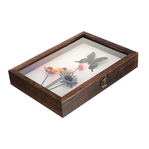 TOPPERFUN Kasten Muster Vitrine Fall Museum Rahmen Anzeige Groß Probenvitrine Sammlung Vitrine Gehäuse Probenhalter Probenbehälter Vitrine Aus Holz Probenständer Musterkoffer Hölzern von TOPPERFUN