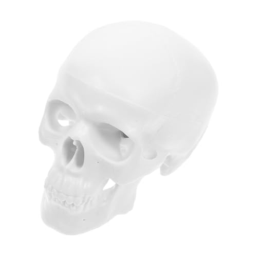TOPPERFUN Mini Anatomie Schädelmodell aus Kunststoff Abnehmbar Detailliertes Menschliches Kopfmodell für Medizinische Lehre Studium und Halloween dekoration Präzise Darstellung Des TOPPERFUN Mini Anatomie Schädelmodell aus Kunststoff Abnehmbar Detailliertes Menschliches Kopfmodell für Medizinische Lehre Studium und Halloween dekoration Präzise Darstellung Des von TOPPERFUN