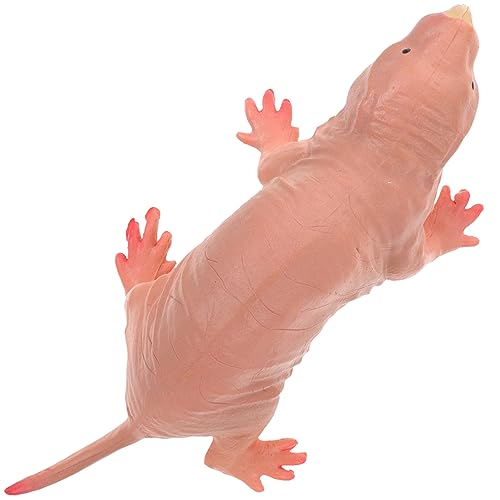 TOPPERFUN Nacktmull Spielzeugfigur Realistisches Tiermodell für Dekorative Skulptur für Garten und Kunststofffigur für und Dekoration TOPPERFUN Nacktmull Spielzeugfigur Realistisches Tiermodell für Dekorative Skulptur für Garten und Kunststofffigur für und Dekoration von TOPPERFUN