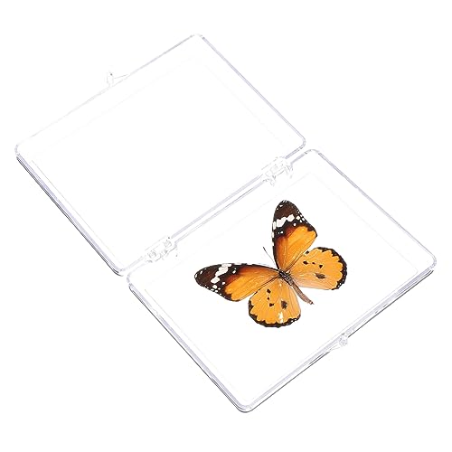 TOPPERFUN Schmetterlings-Exemplar insektenbox insekten box Schmetterlingszubehör schmetterling dekorationen Wandhängendes Schmetterlingsexemplar Musterdekor ausstellen Plastik TOPPERFUN Schmetterlings-Exemplar insektenbox insekten box Schmetterlingszubehör schmetterling dekorationen Wandhängendes Schmetterlingsexemplar Musterdekor ausstellen Plastik von TOPPERFUN