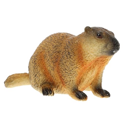 TOPPERFUN Simulation Groundhog Figurine Realistisches Tiermodell für Dekoration Bildungszwecke für Kindergarten Klassenzimmer und Zuhause TOPPERFUN Simulation Groundhog Figurine Realistisches Tiermodell für Dekoration Bildungszwecke für Kindergarten Klassenzimmer und Zuhause von TOPPERFUN