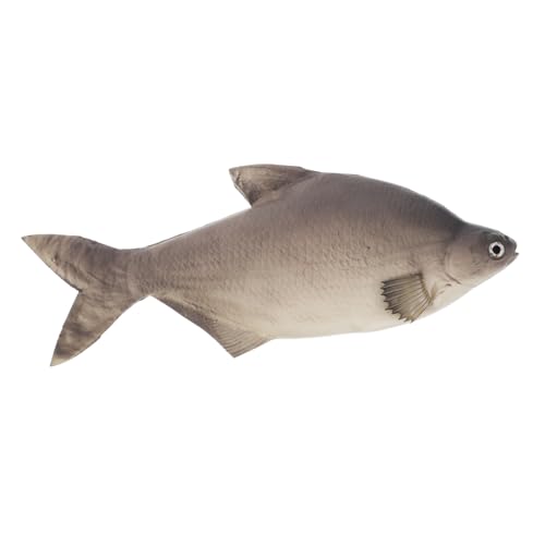 TOPPERFUN Simuliertes Fischspielzeug gefälschtes Fischmodell Katzenfischspielzeug Realistisches Fischspielzeug lebensechtes Fischmodell Küchendekor Fisch Fake-Fisch-Requisite Fisch-Modell Pu TOPPERFUN Simuliertes Fischspielzeug gefälschtes Fischmodell Katzenfischspielzeug Realistisches Fischspielzeug lebensechtes Fischmodell Küchendekor Fisch Fake-Fisch-Requisite Fisch-Modell Pu von TOPPERFUN